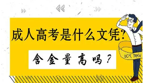 2021年成人高考哪些專業(yè)對口公務員考試呢？