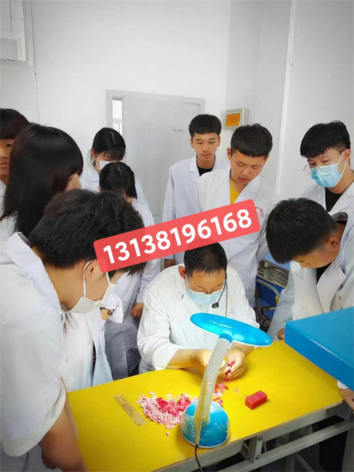 石家莊白求恩醫(yī)學(xué)院升學(xué)對口高考和單招有什么區(qū)別？