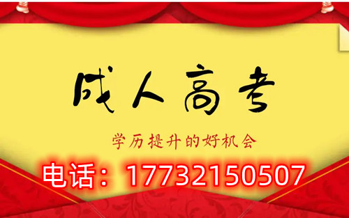 干貨！備考必讀，成考不踩雷！