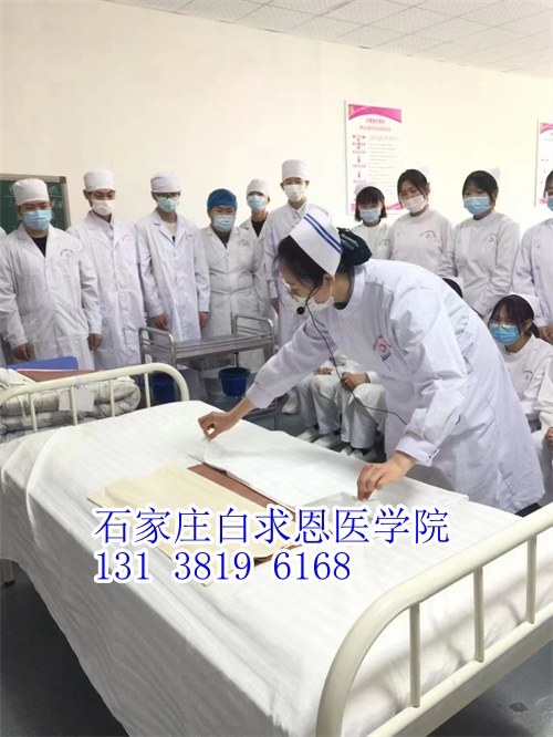 河北對(duì)口高考和對(duì)口單招有什么不同？