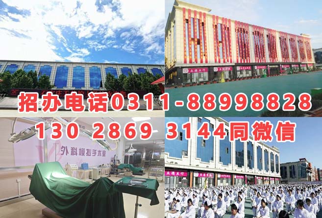 11331.jpg